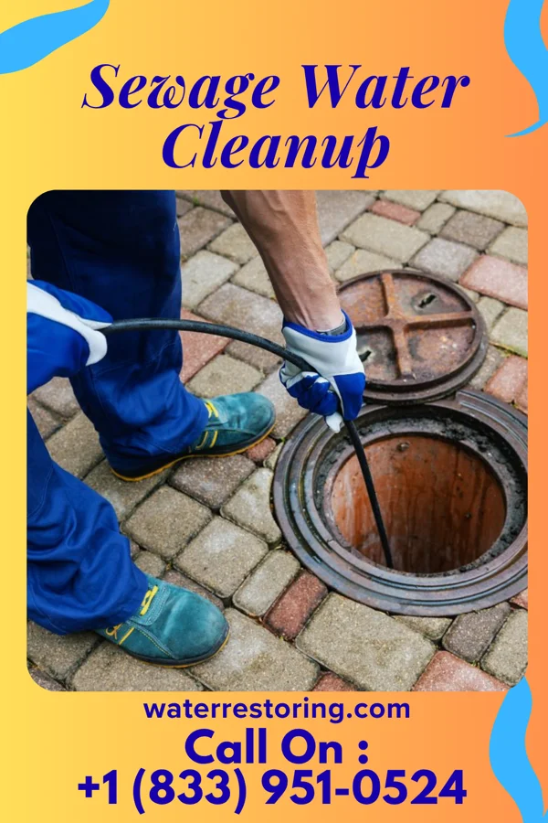 Sewage Water Cleanup in Onawa, IA